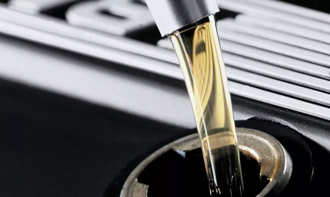 1558431992102630.jpg 48.jpg